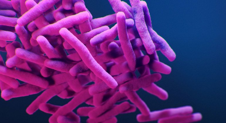 A medical illustration depicts the drug-resistant, Mycobacterium tuberculosis bacteria.