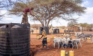 Un homme recueille de l'eau dans un réservoir au Kenya.
