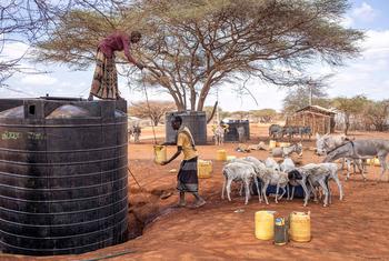 Un homme recueille de l'eau dans un réservoir au Kenya.