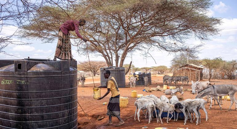 肯尼亚一名男子从水箱中取水。