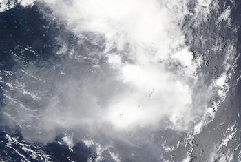 The gas, steam, and ash cloud pouring from the Hunga Tonga-Hunga Ha’pai volcano on January 13,  before an eruption.