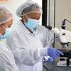 Des techniciennes de laboratoire dans le centre de transfert de technologie ARNm en Afrique du Sud, l'un des pays sélectionnés pour établir la production de vaccins à ARNm.