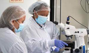 Des techniciennes de laboratoire dans le centre de transfert de technologie ARNm en Afrique du Sud, l'un des pays sélectionnés pour établir la production de vaccins à ARNm.