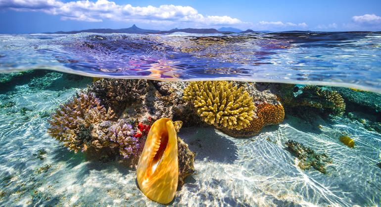 The shallow waters of Mayotte Island in the Indian Ocean.