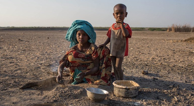 埃塞俄比亚乡村的一名女孩在做饭，而那里的土地一直受到反复干旱的影响。