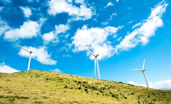 A wind turbine farm in Maui, USA.