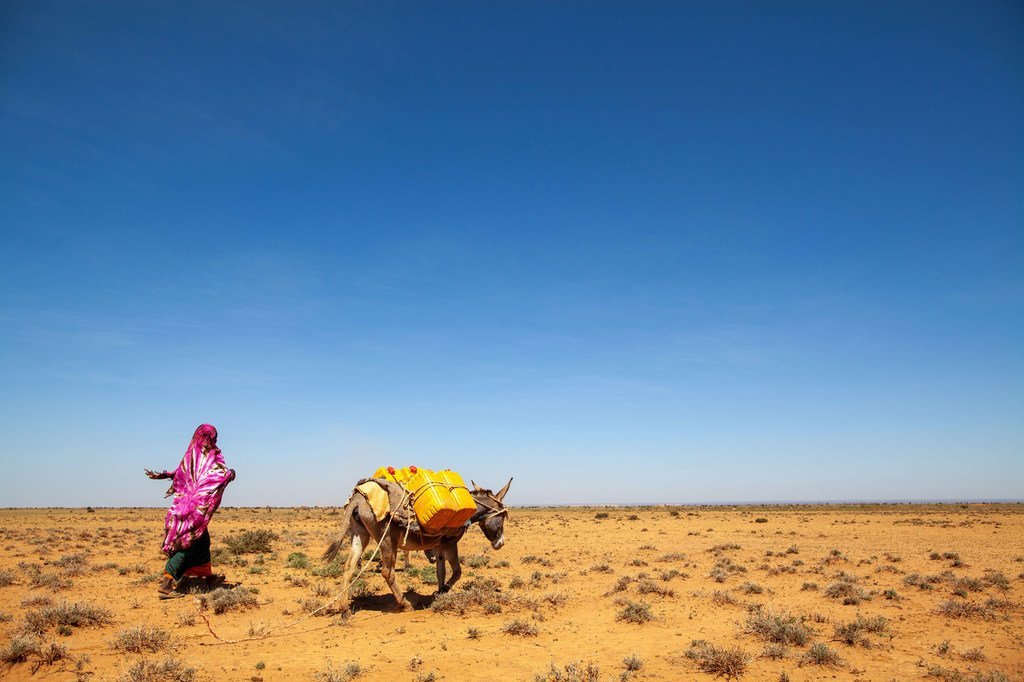 Northwest Somalia suffers from frequent droughts.  Women, who are responsible for carrying water, have to travel to more and more areas to get it, putting themselves at greater risk and putting their safety at risk.