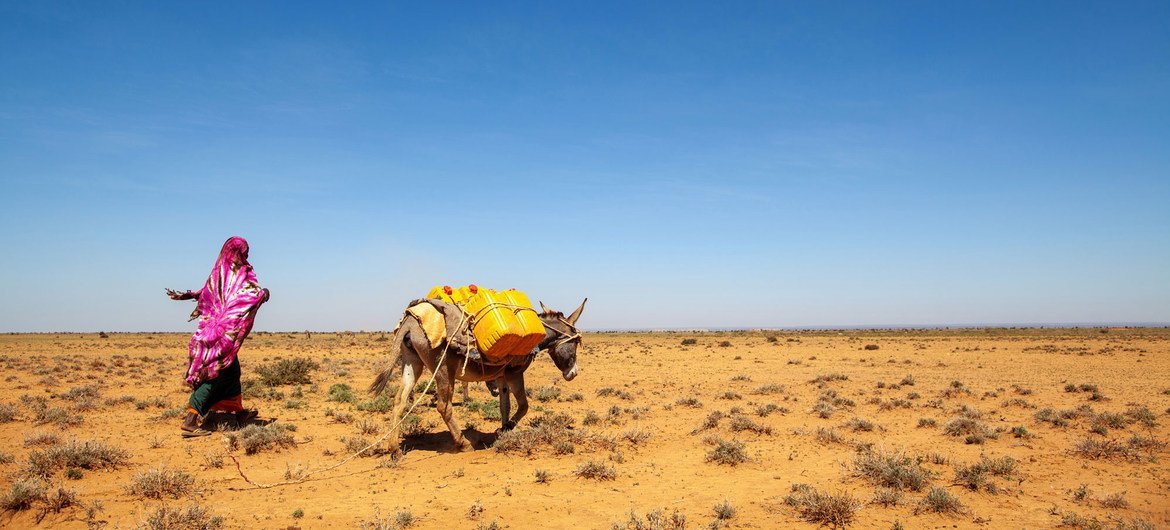 Northwest Somalia has suffered from recurrent droughts over decades.