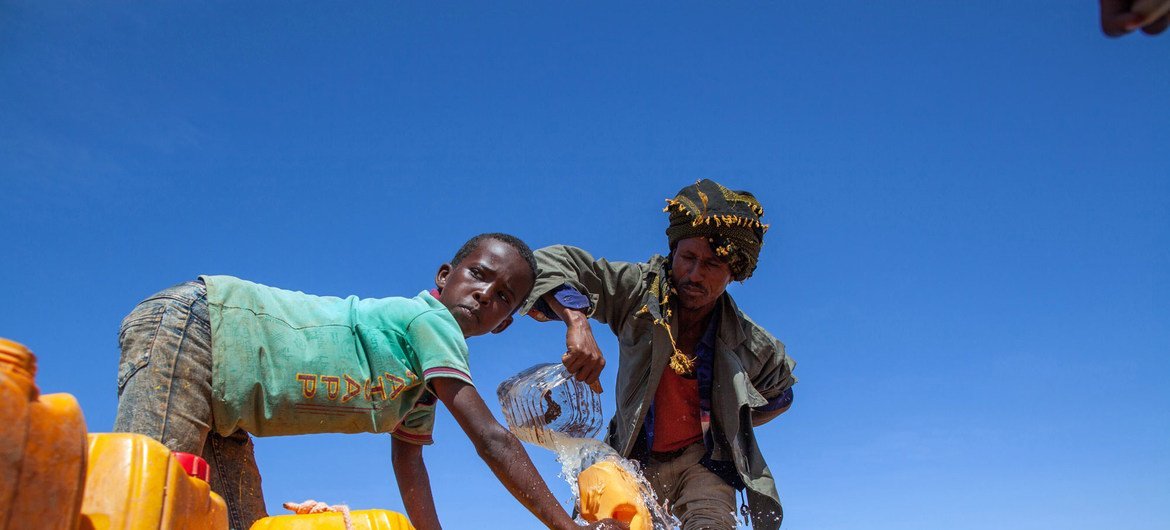 Desde novembro, dezenas de milhares de pessoas foram forçadas a deixar suas casas devido à extrema escassez de água na Somália