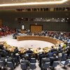 Совет Безопасности  ООН 