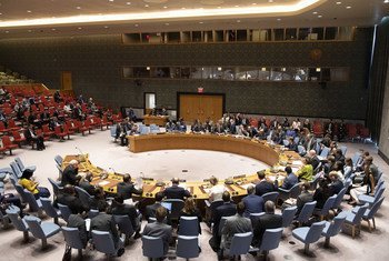 Совет Безопасности  ООН 