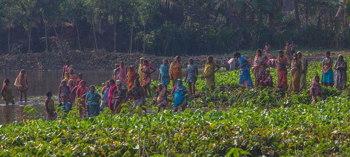 भारत में खेतों में काम करती महिलाएं.