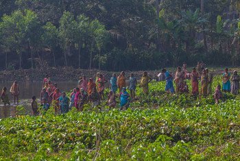 भारत में खेतों में काम करती महिलाएं.