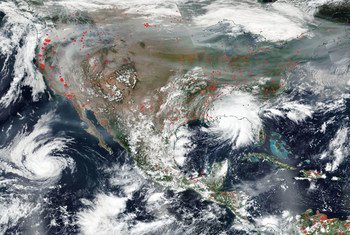 Hurricane Un News