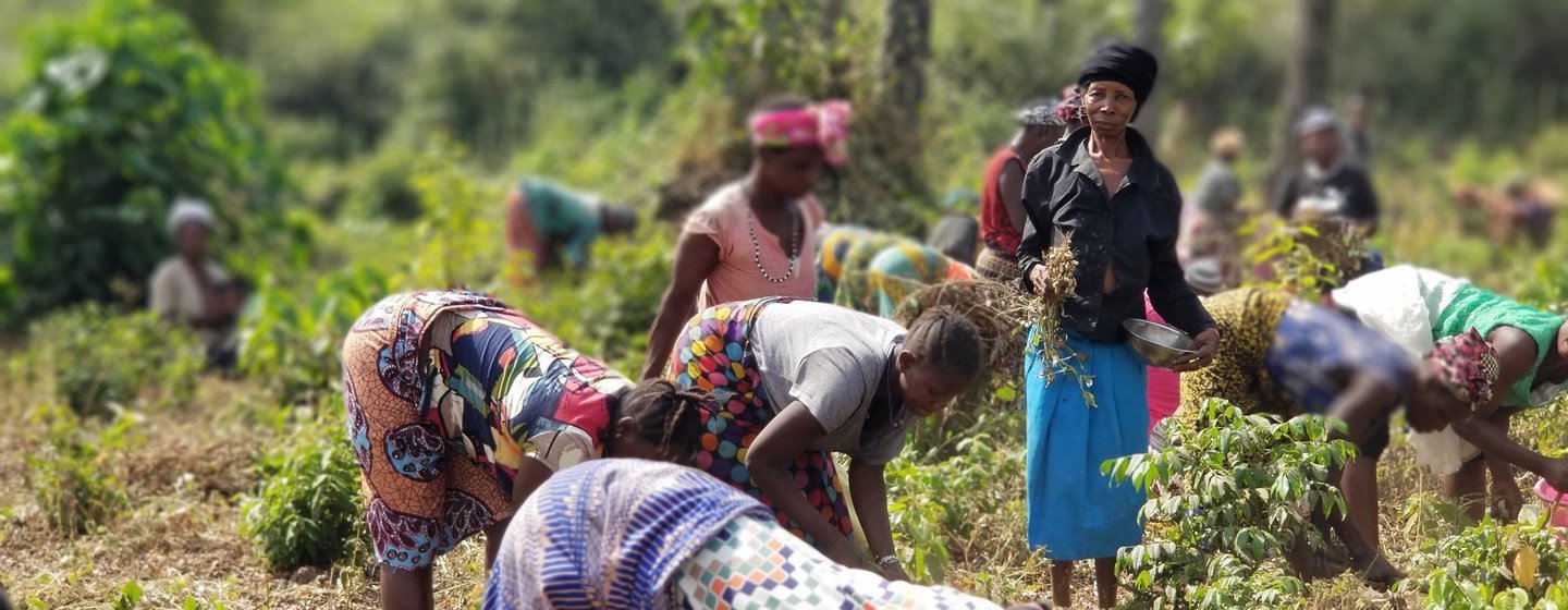 Women farmers in Sierra Leone are being encouraged to take on leadership roles in  peacebuilding. 