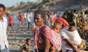 لاجئون إثيوبيون يفرذون من الاشتباكات في منطقة تيغراي، ويعبرون الحدود إلى السودان.