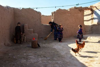 हिंसा के कारण अफ़ग़ानिस्तान के पश्चिमी प्रान्त, हेरात में विस्थापित एक परिवार.