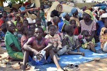لاجئون من الكاميرون بعد وقت قصير من وصولهم إلى منطقة تشاري باغيرمي بالقرب من العاصمة إنجمينا.