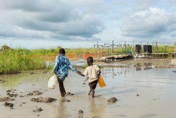 流离失所的儿童走在南苏丹被洪水淹没的地区。