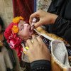 पाकिस्तान के सिंध प्रांत के कराची शहर की गादब बस्ती में 13 दिन के एक बच्चे को पोलियो की वैक्सीन पिलाते हुए. पाकिस्तान में पोलियो अभी पूरी तरह ख़त्म नहीं हुआ है