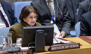 联合国主管政治事务的副秘书长罗斯玛丽·迪卡洛向联合国安理会通报乌克兰局势。