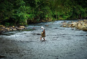سيّدة تعبر نهرا في جامبي بإندونيسيا.