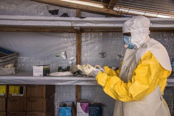 An  Ebola outbreak in Guinea was declared over just months before the country detected its first case of Marburg disease (file photo).