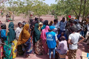 Eritrean refugees in the Afar region of Ethiopia receive emergency assistance.
