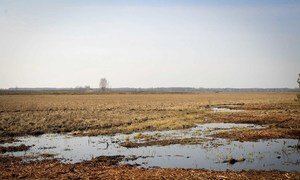 The UN Development Programme has been supporting the rejuvenation of peatlands in Belarus.