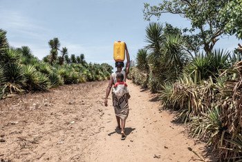 A woman in Madagascar walks for up to 14km a day to find clean water.  