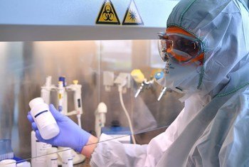 Un biólogo molecular trabaja para extraer el genoma del coronavirus.