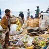 赞比亚的废品回收人员正在垃圾填埋场内工作。