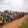 Solicitantes de asilo congoleños hacen cola para someterse a un control de seguridad y sanitario en Zombo, cerca de la frontera entre Uganda y la República Democrática del Congo.