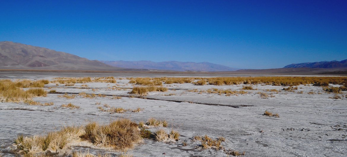 El Valle de la Muerte, en Estados Unidos donde se ha registrado un posible récord de temperatura.