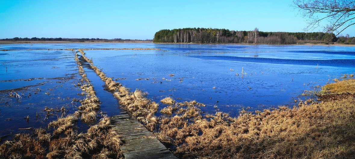 在白俄罗斯，泥煤沼泽重新得到合理利用，成为天然有效的二氧化碳吸收池。
