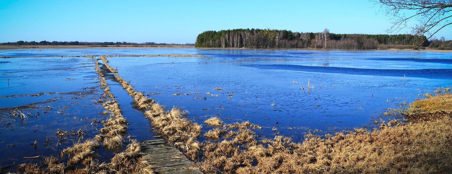 在白俄罗斯，泥煤沼泽重新得到合理利用，成为天然有效的二氧化碳吸收池。