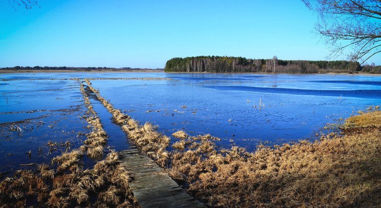 World Water Day: Often overlooked, water resources are essential part of solution to climate change - UN News