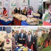 منظمة اليونيدو تطبق سياسة الزراعة المستدامة  في صعيد مصر