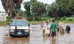 Heavy rains in Ethiopia flood refugee camps in great Maban county in South Sudan. 
