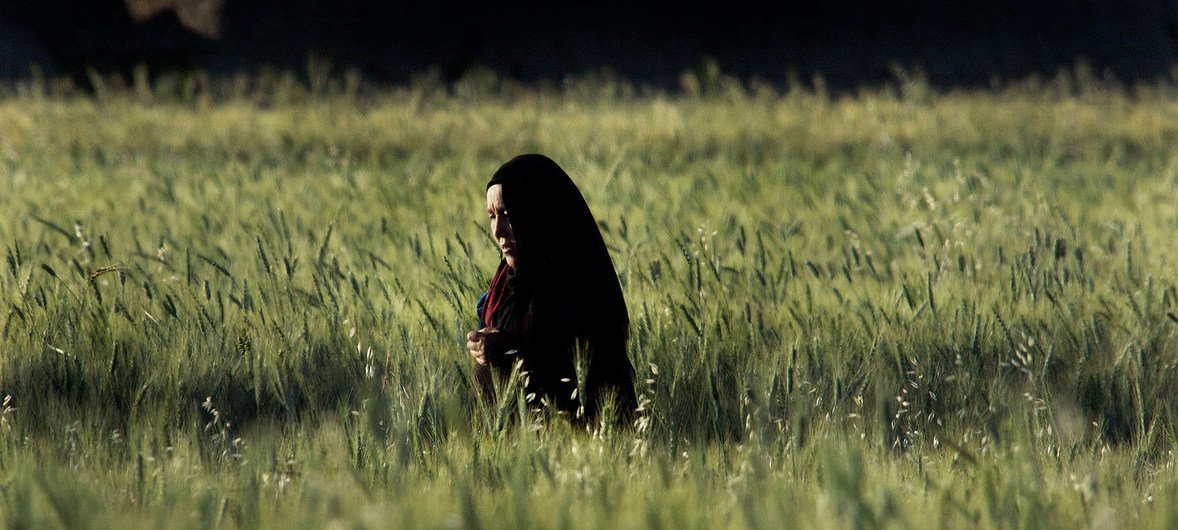 A woman walks through a field in Bamyan Province, Afghanistan, which has been declared mine-free.