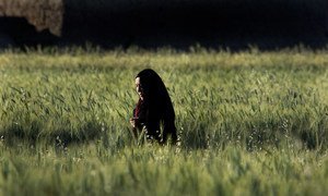 In Afghanistan, despite favourable growing conditions for crops, many people are not getting enough to eat.