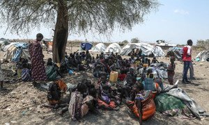 Intercommunal violence has affected communities in Pibor in the east of South Sudan.