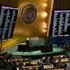 Генеральная Ассамблея приняла 69 резолюций Третьего комитета  