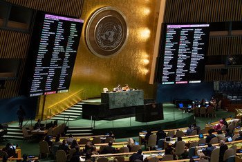 Assembleia Geral proclamou o Dia Internacional em Apoio às Vítimas de Tortura para acelerar a erradicação total da prática