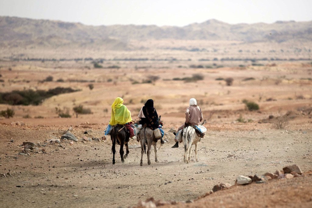 苏丹北达尔富尔首府法希尔（El Fasher）郊外，几名骑着毛驴的妇女。