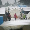 Crianças deslocadas por causa da violência na Síria "estão morrendo de frio.” 