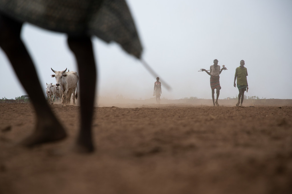 埃塞俄比亚的南奥莫地区正面临严重的干旱。