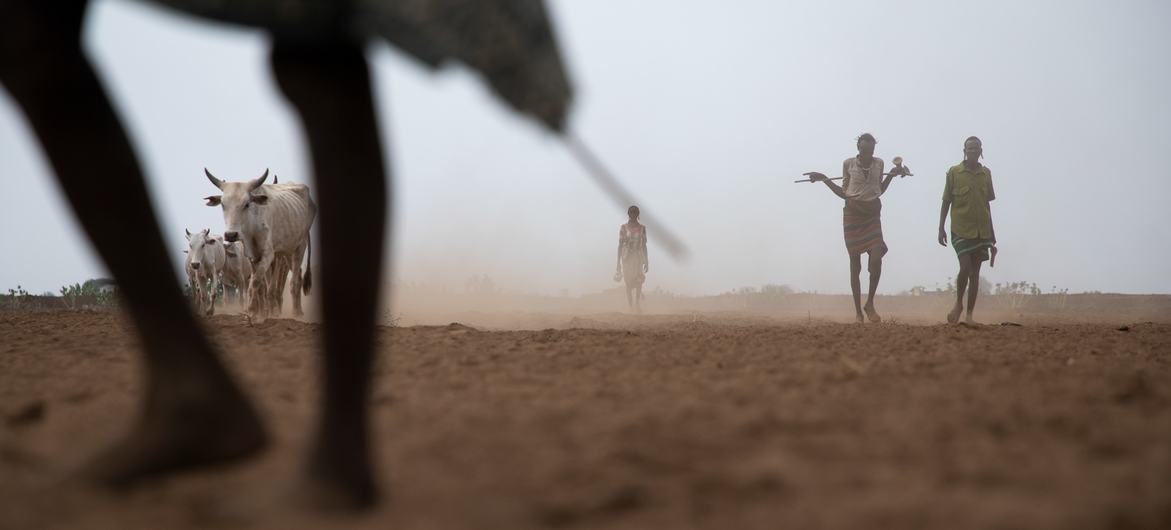 جفاف شديد في منطقة جنوب أومو، إثيوبيا.