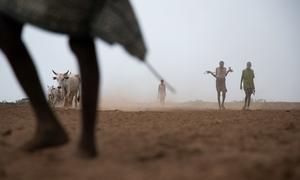 جفاف شديد في منطقة جنوب أومو، إثيوبيا.