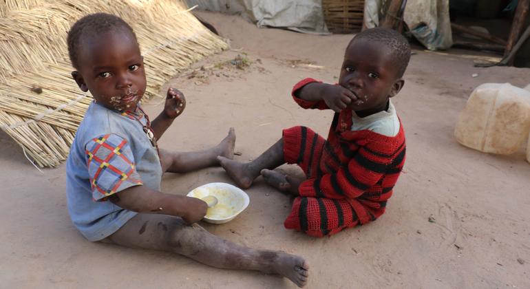 يقدم صندوق الأمم المتحدة المركزي لمواجهة الطوارئ الموارد لمعالجة تدابير إنقاذ الحياة ضد انعدام الأمن الغذائي في جمهورية أفريقيا الوسطى.